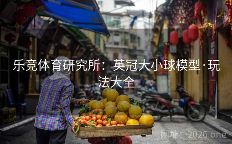 乐竞体育研究所：英冠大小球模型·玩法大全