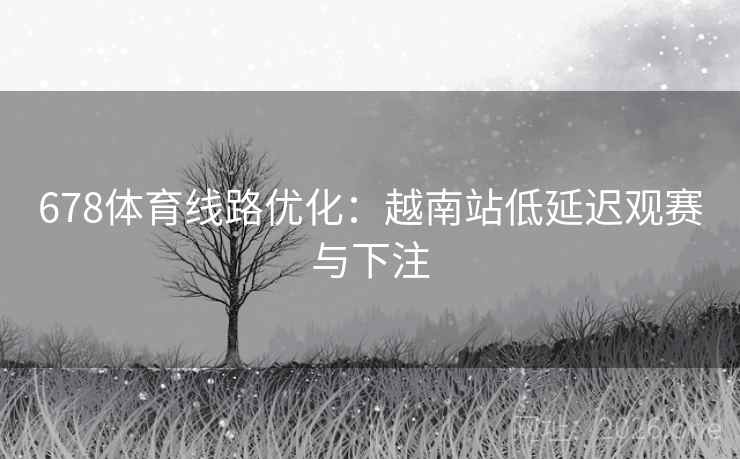 678体育线路优化：越南站低延迟观赛与下注