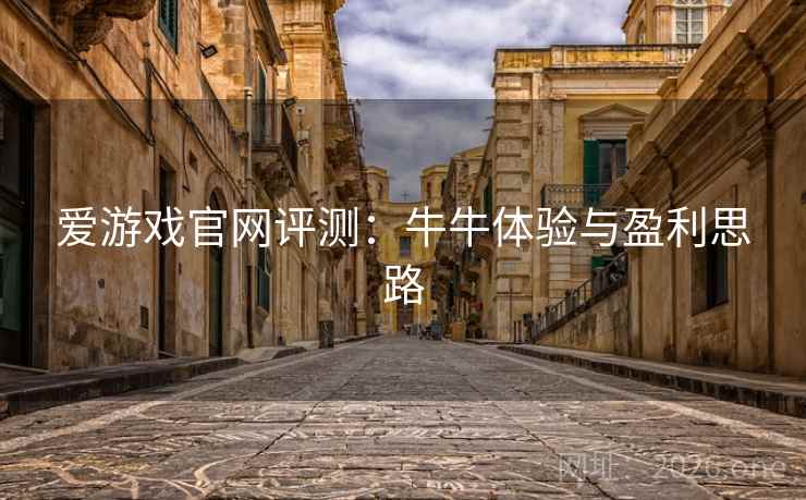 爱游戏官网评测:牛牛体验与盈利思路